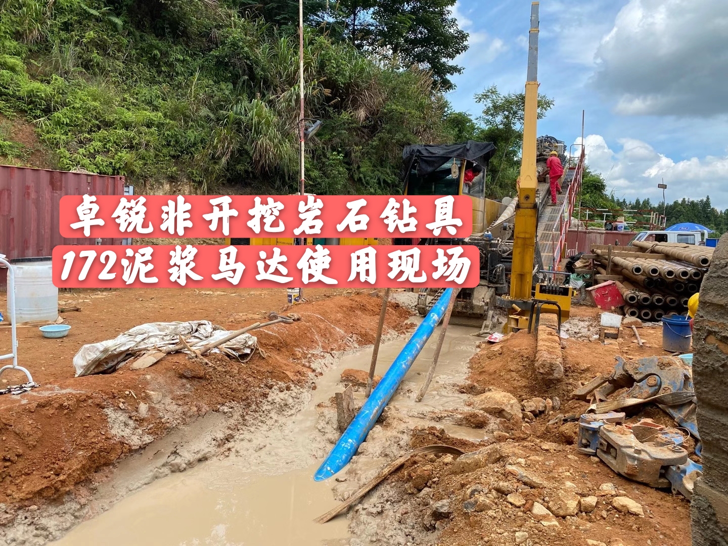 七臺河上海PDC平面軸承訂做誠信經(jīng)營